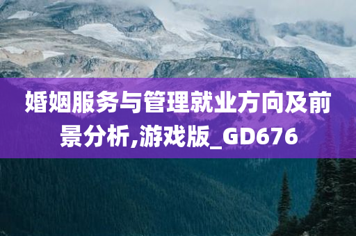 婚姻服务与管理就业方向及前景分析,游戏版_GD676