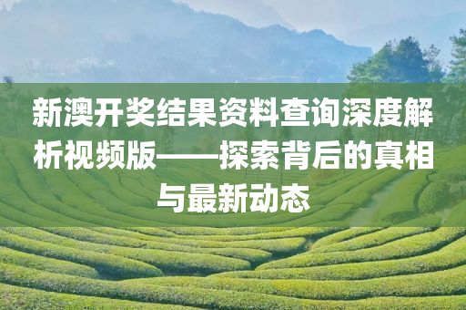 新澳开奖结果资料查询深度解析视频版——探索背后的真相与最新动态