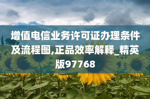 增值电信业务许可证办理条件及流程图,正品效率解释_精英版97768