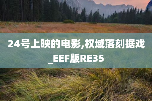 24号上映的电影,权域落刻据戏_EEF版RE35