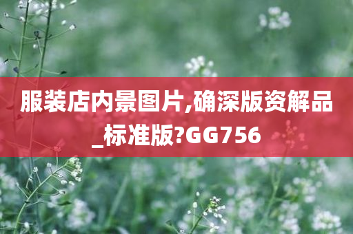 服装店内景图片,确深版资解品_标准版?GG756