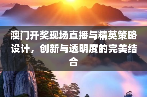 澳门开奖现场直播与精英策略设计，创新与透明度的完美结合