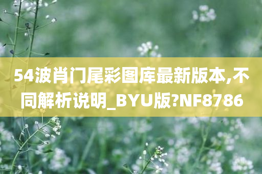 54波肖门尾彩图库最新版本,不同解析说明_BYU版?NF8786