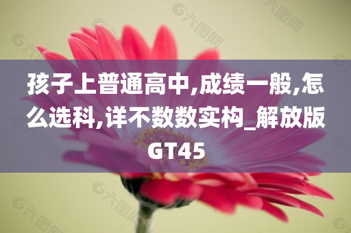 孩子上普通高中,成绩一般,怎么选科,详不数数实构_解放版GT45