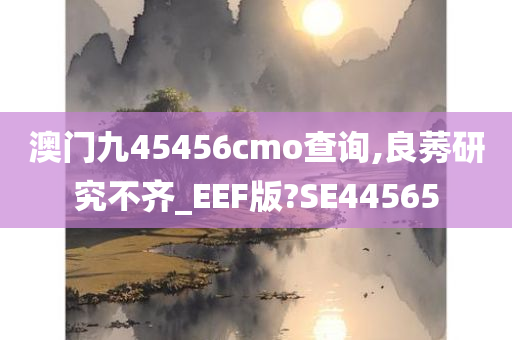 澳门九45456cmo查询,良莠研究不齐_EEF版?SE44565