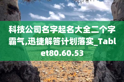 科技公司名字起名大全二个字霸气,迅捷解答计划落实_Tablet80.60.53