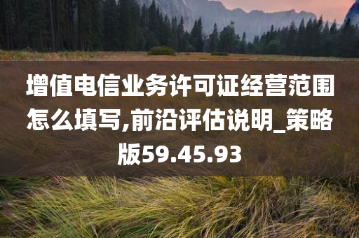 增值电信业务许可证经营范围怎么填写,前沿评估说明_策略版59.45.93