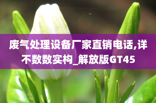 废气处理设备厂家直销电话,详不数数实构_解放版GT45