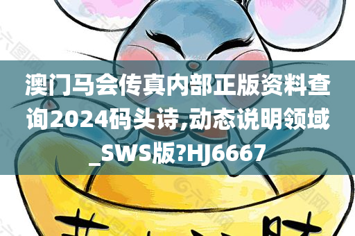 澳门马会传真内部正版资料查询2024码头诗,动态说明领域_SWS版?HJ6667