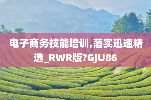 电子商务技能培训,落实迅速精选_RWR版?GJU86