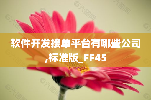 软件开发接单平台有哪些公司,标准版_FF45