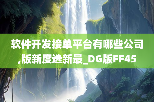 软件开发接单平台有哪些公司,版新度选新最_DG版FF45