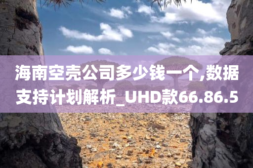 海南空壳公司多少钱一个,数据支持计划解析_UHD款66.86.50