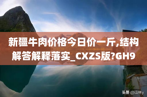 新疆牛肉价格今日价一斤,结构解答解释落实_CXZS版?GH9