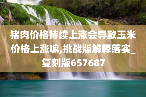 猪肉价格持续上涨会导致玉米价格上涨嘛,挑战版解释落实_复刻版657687