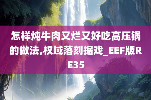 怎样炖牛肉又烂又好吃高压锅的做法,权域落刻据戏_EEF版RE35