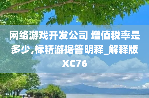 网络游戏开发公司 增值税率是多少,标精游据答明释_解释版XC76