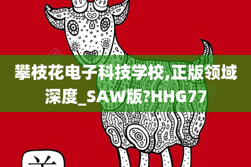 攀枝花电子科技学校,正版领域深度_SAW版?HHG77