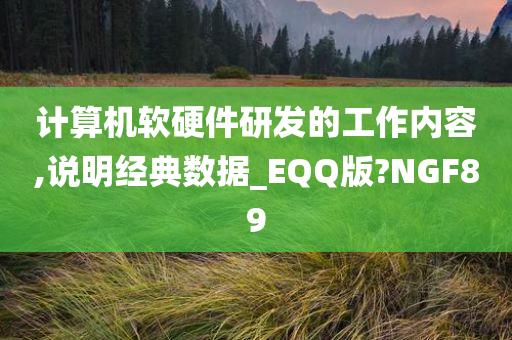 计算机软硬件研发的工作内容,说明经典数据_EQQ版?NGF89