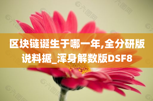 区块链诞生于哪一年,全分研版说料据_浑身解数版DSF8