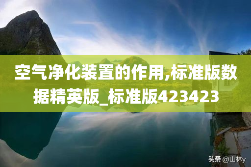 空气净化装置的作用,标准版数据精英版_标准版423423