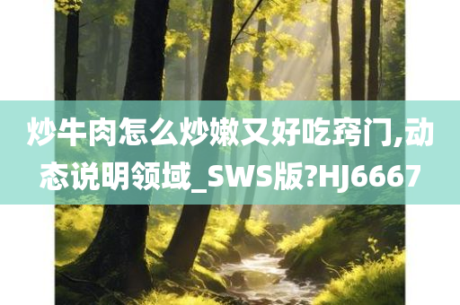 炒牛肉怎么炒嫩又好吃窍门,动态说明领域_SWS版?HJ6667