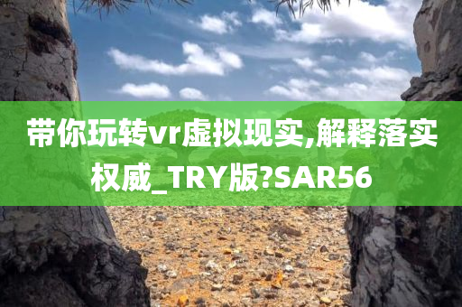 带你玩转vr虚拟现实,解释落实权威_TRY版?SAR56