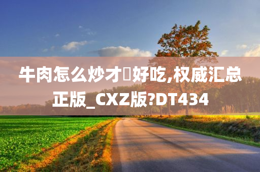 牛肉怎么炒才嫰好吃,权威汇总正版_CXZ版?DT434