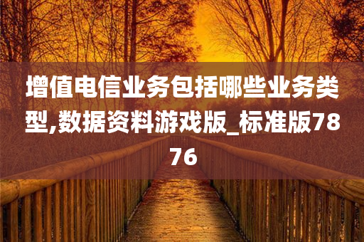 增值电信业务包括哪些业务类型,数据资料游戏版_标准版7876