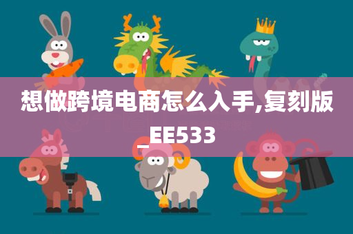 想做跨境电商怎么入手,复刻版_EE533