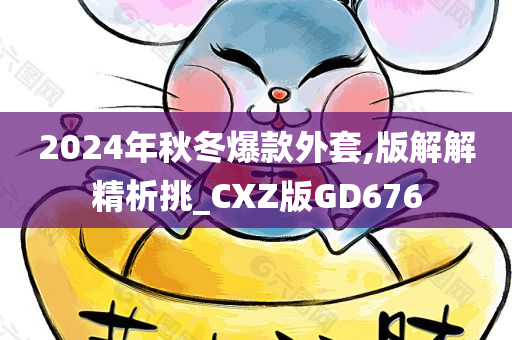 2024年秋冬爆款外套,版解解精析挑_CXZ版GD676