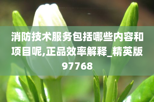 消防技术服务包括哪些内容和项目呢,正品效率解释_精英版97768