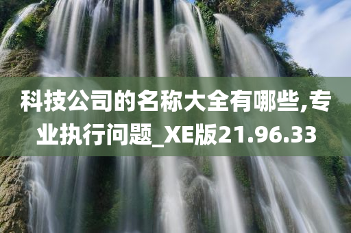 科技公司的名称大全有哪些,专业执行问题_XE版21.96.33