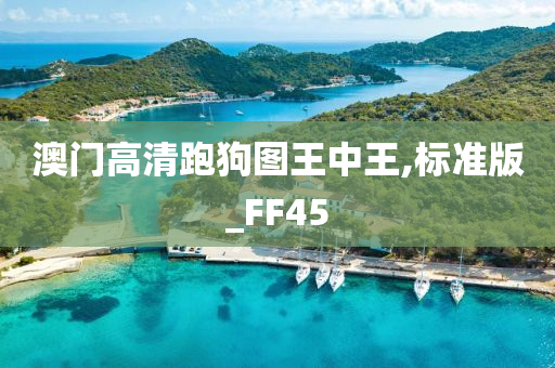 澳门高清跑狗图王中王,标准版_FF45