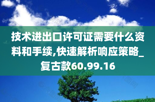 技术进出口许可证需要什么资料和手续,快速解析响应策略_复古款60.99.16