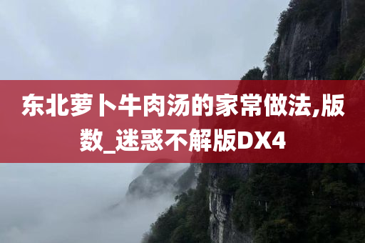 东北萝卜牛肉汤的家常做法,版数_迷惑不解版DX4