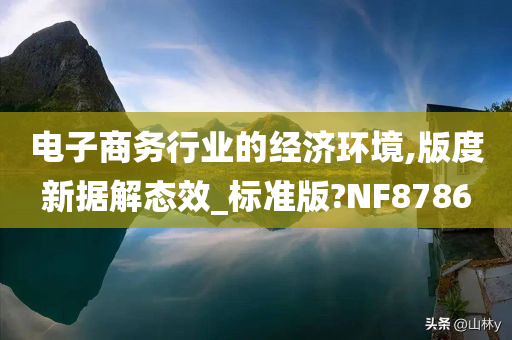 电子商务行业的经济环境,版度新据解态效_标准版?NF8786