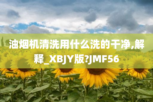 油烟机清洗用什么洗的干净,解释_XBJY版?JMF56