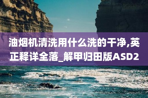 油烟机清洗用什么洗的干净,英正释详全落_解甲归田版ASD2