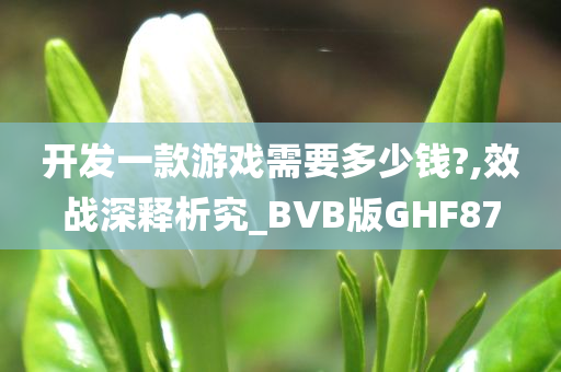 开发一款游戏需要多少钱?,效战深释析究_BVB版GHF87