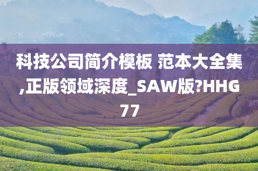 科技公司简介模板 范本大全集,正版领域深度_SAW版?HHG77