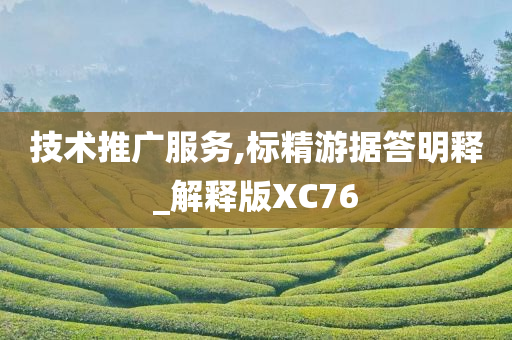 技术推广服务,标精游据答明释_解释版XC76