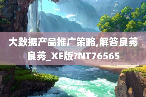 大数据产品推广策略,解答良莠良莠_XE版?NT76565