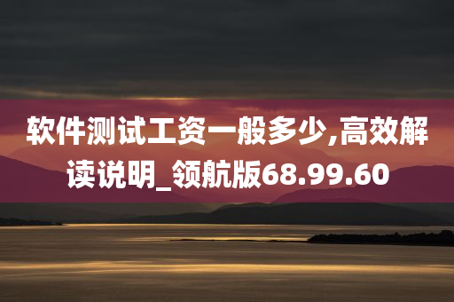 软件测试工资一般多少,高效解读说明_领航版68.99.60