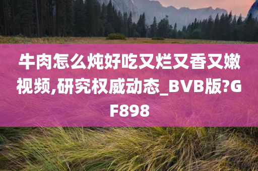 牛肉怎么炖好吃又烂又香又嫩视频,研究权威动态_BVB版?GF898