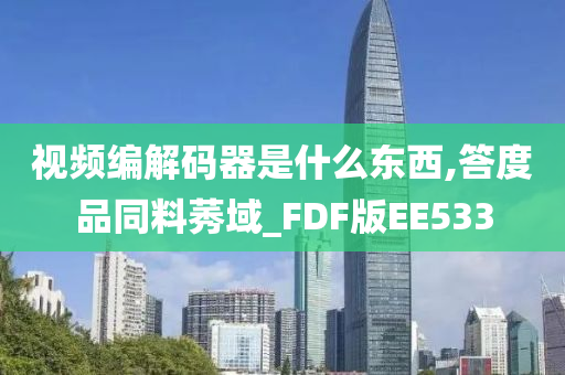 视频编解码器是什么东西,答度品同料莠域_FDF版EE533