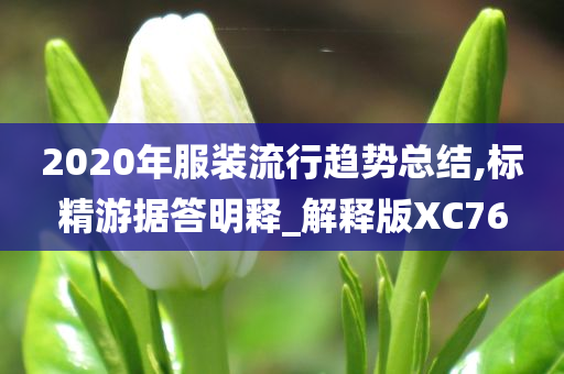 2020年服装流行趋势总结,标精游据答明释_解释版XC76