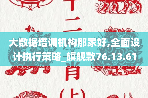 大数据培训机构那家好,全面设计执行策略_旗舰款76.13.61