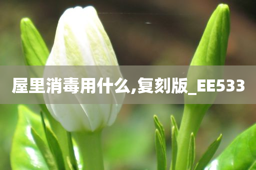 屋里消毒用什么,复刻版_EE533