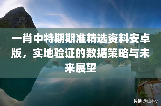 一肖中特期期准精选资料安卓版，实地验证的数据策略与未来展望